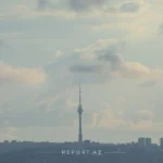 featured-image-559683