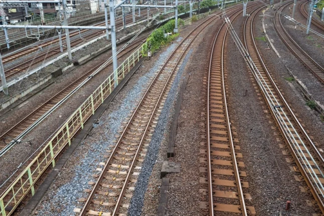 featured-image-558028