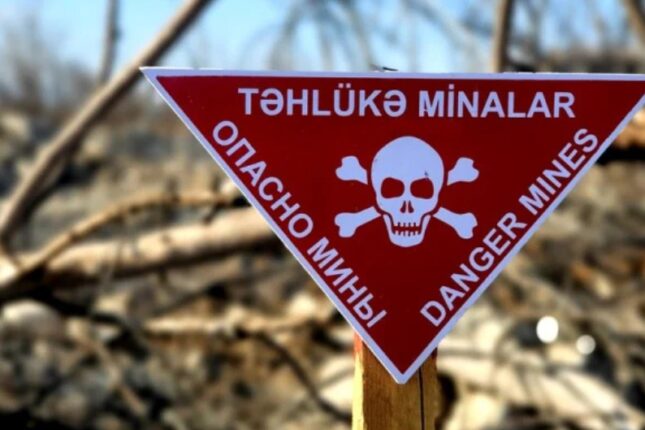 featured-image-560529