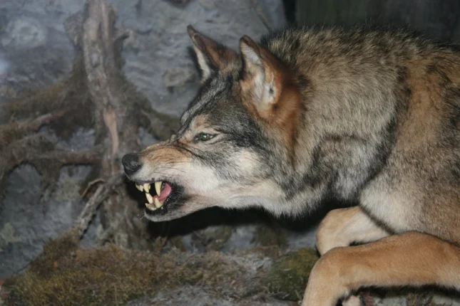 featured-image-560241