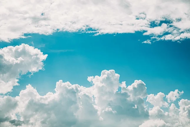 featured-image-560784