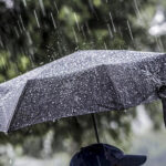 featured-image-560746