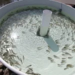 featured-image-560037