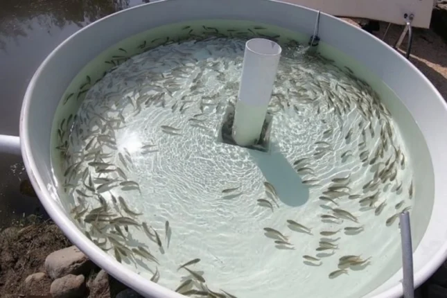 featured-image-560037