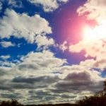 featured-image-559981