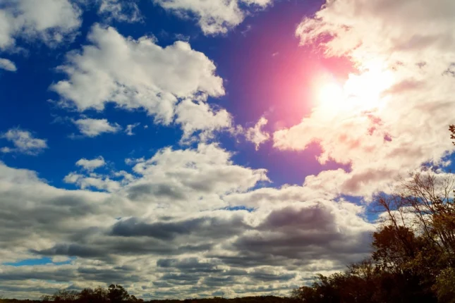 featured-image-559981