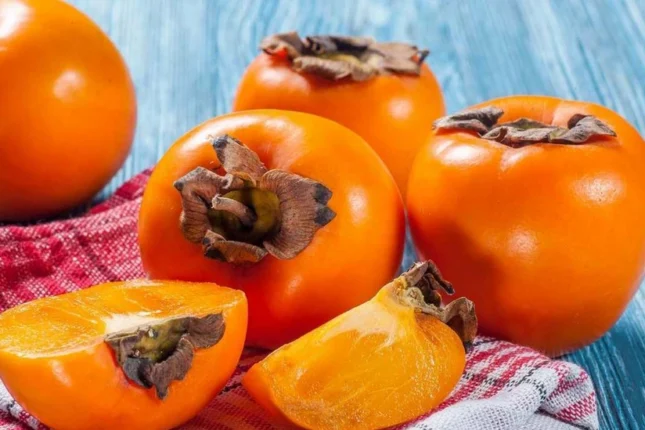 featured-image-561378