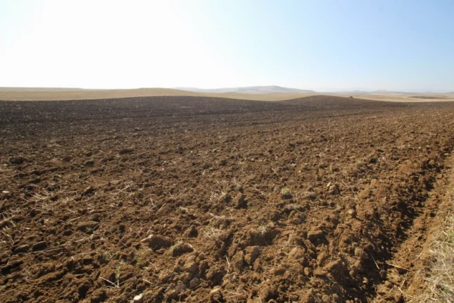 featured-image-563221