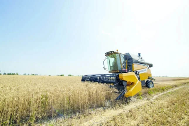 featured-image-562284