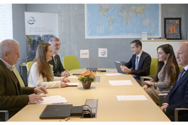 featured-image-563176