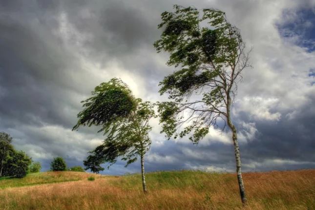 featured-image-562572