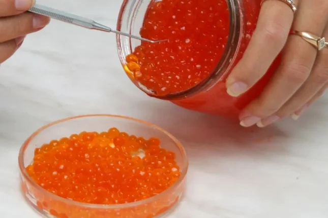 featured-image-562130