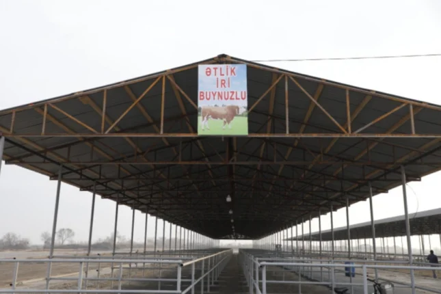 featured-image-561983