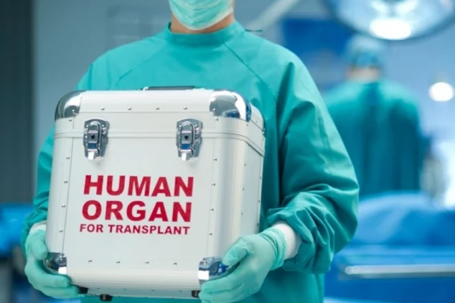 featured-image-562804