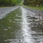 featured-image-561546