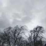 featured-image-561495