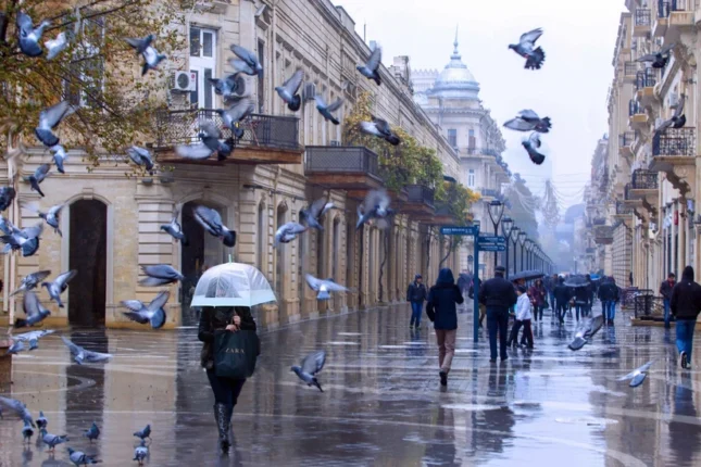 featured-image-562737