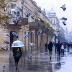 featured-image-561969