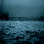 featured-image-561390