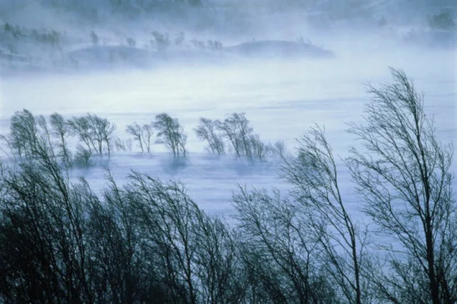 featured-image-562271