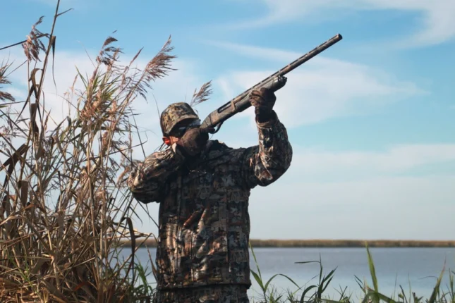 featured-image-563244