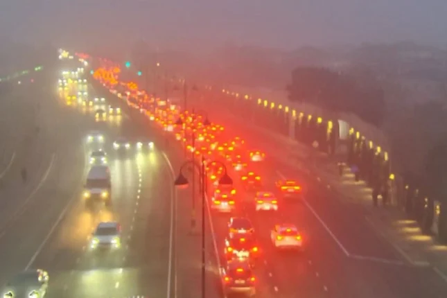 featured-image-561346