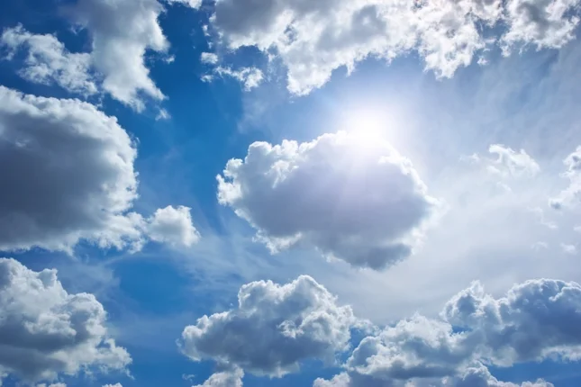 featured-image-561123