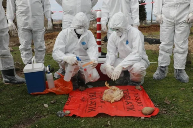 featured-image-562922