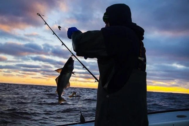 featured-image-563164