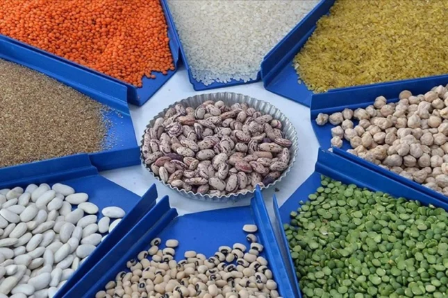 featured-image-561166