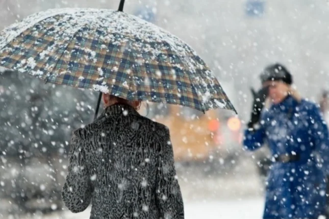 featured-image-562108