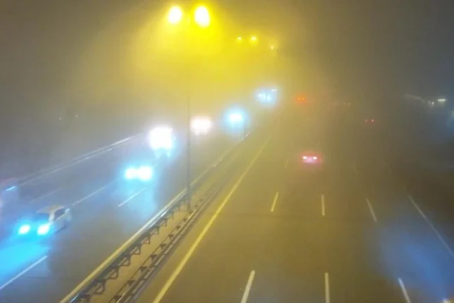 featured-image-561296