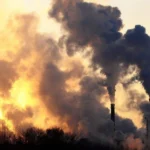 featured-image-562278