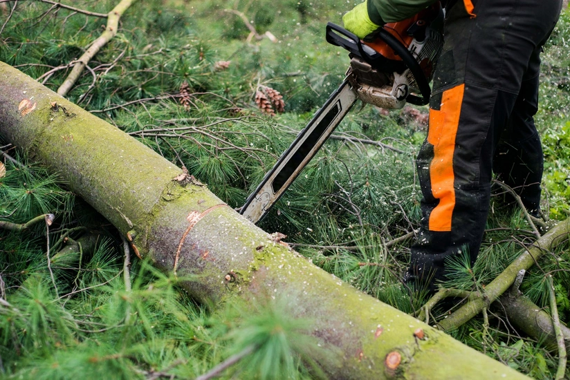 featured-image-561125