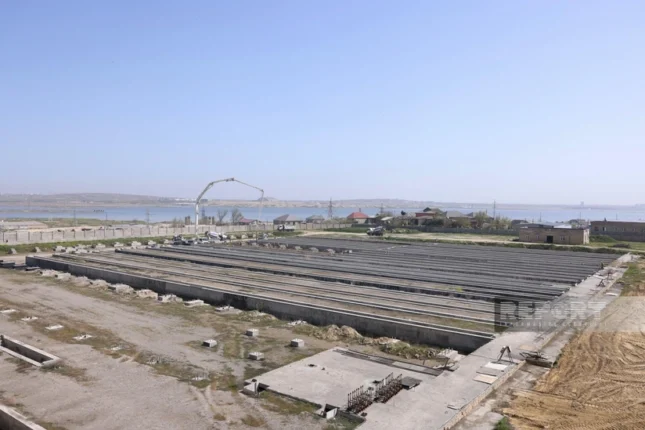 featured-image-563027