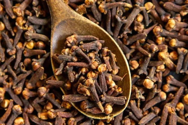 featured-image-562138