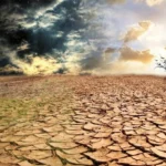 featured-image-562443