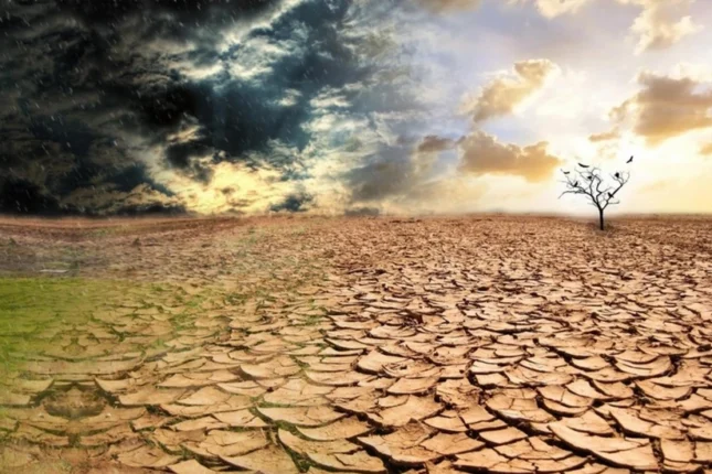 featured-image-562443