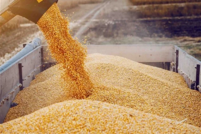 featured-image-563154