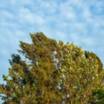 featured-image-562126