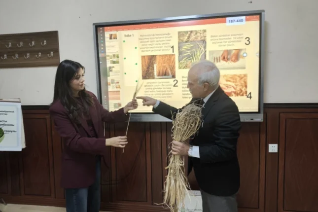 featured-image-561528