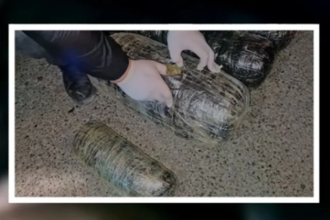 featured-image-562985