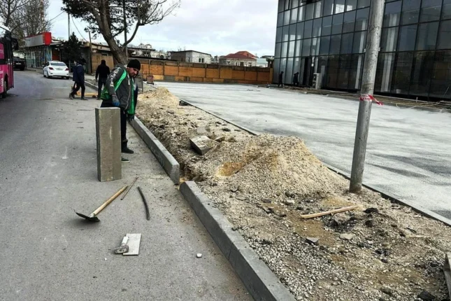 featured-image-561493