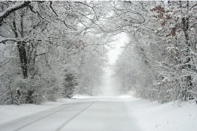 featured-image-562118