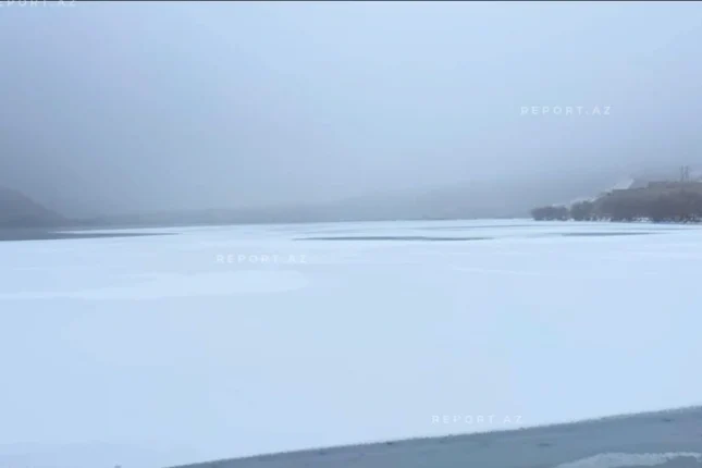 featured-image-562868