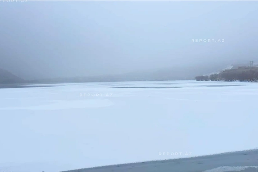 featured-image-562868