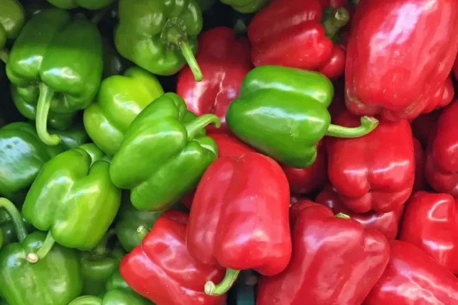 featured-image-561563