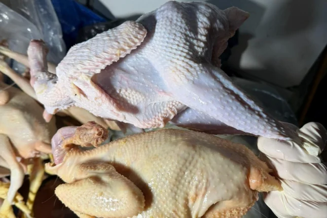 featured-image-561117