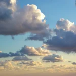 featured-image-564043