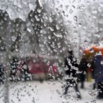 featured-image-564246